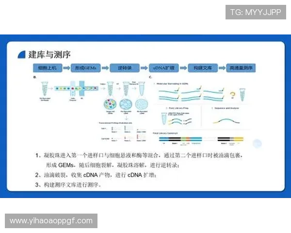 壹号体育PG官方正版下载安装流程及注意事项详解